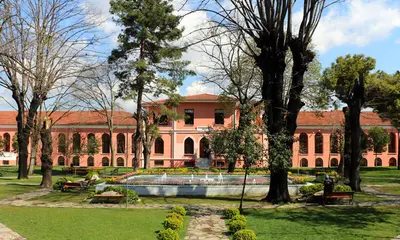 Bezmiâlem Vakıf Üniversitesi